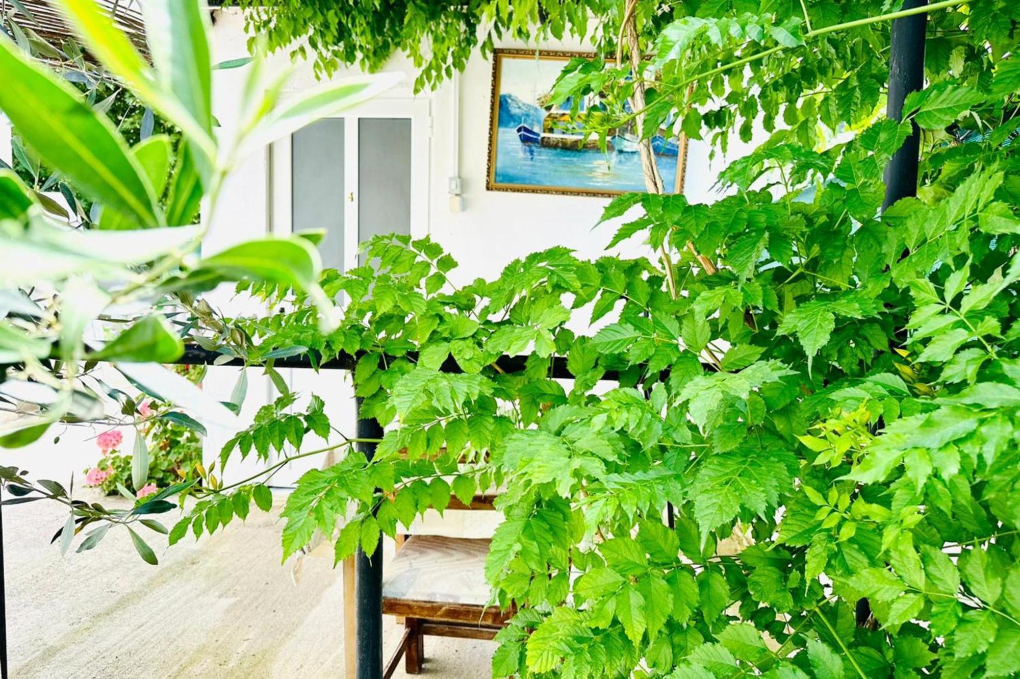 Bunec Seascape Villa Piqeras エクステリア 写真